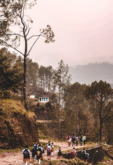 Продажа дипломов и аттестатов в Губкинском