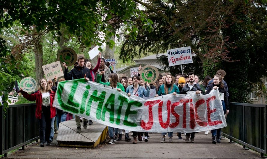 Купить диплом бакалавра с занесением в реестр